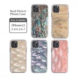 Real Seashell Epoxy Phone Case