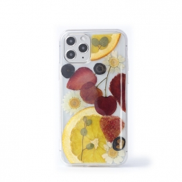 Cherry Lemon Strawberry Real Dried fruit Epoxy Case